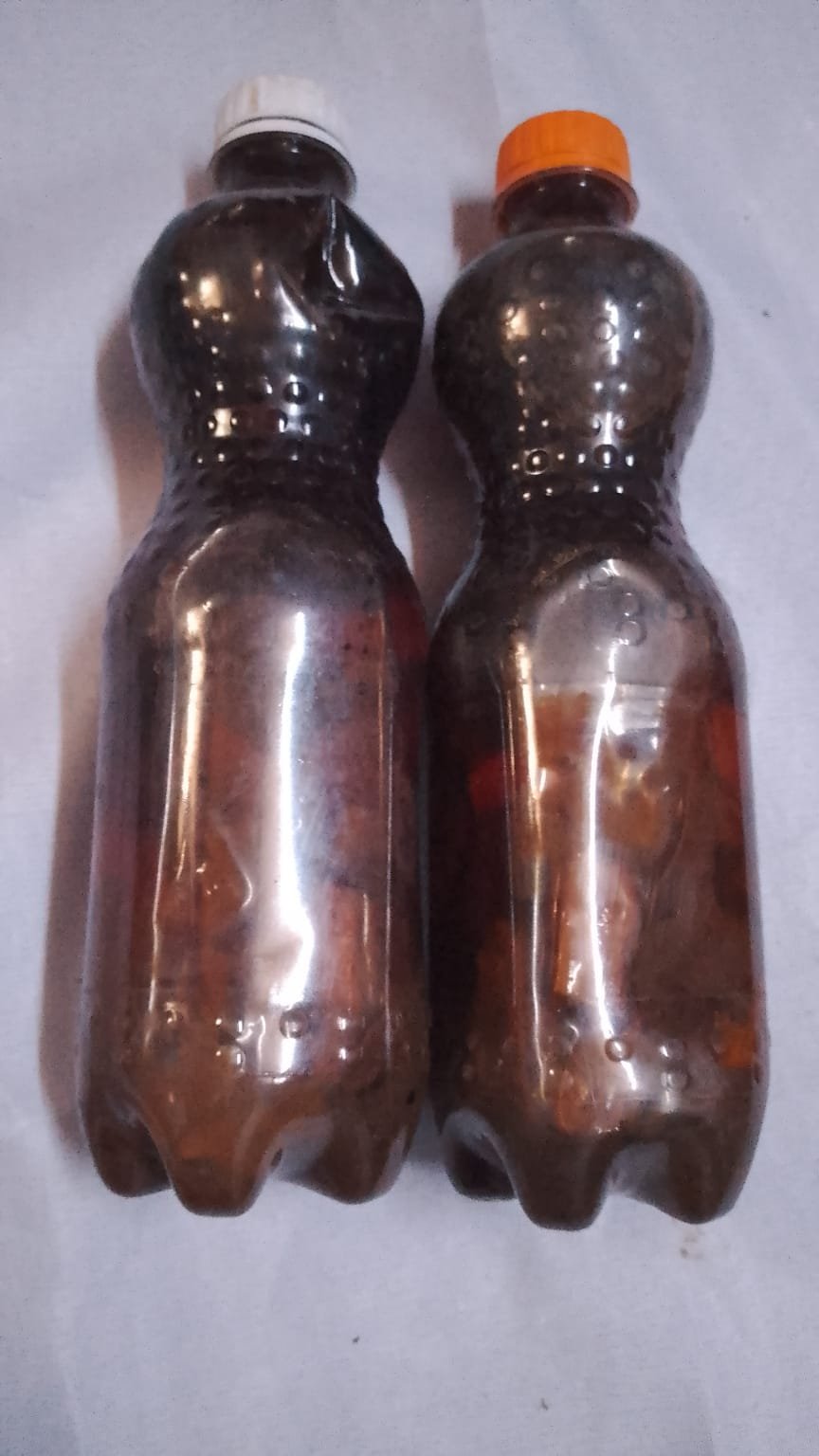 Décoction à boire — Vitalité intime (faiblesse sexuelle & “impuissance”)